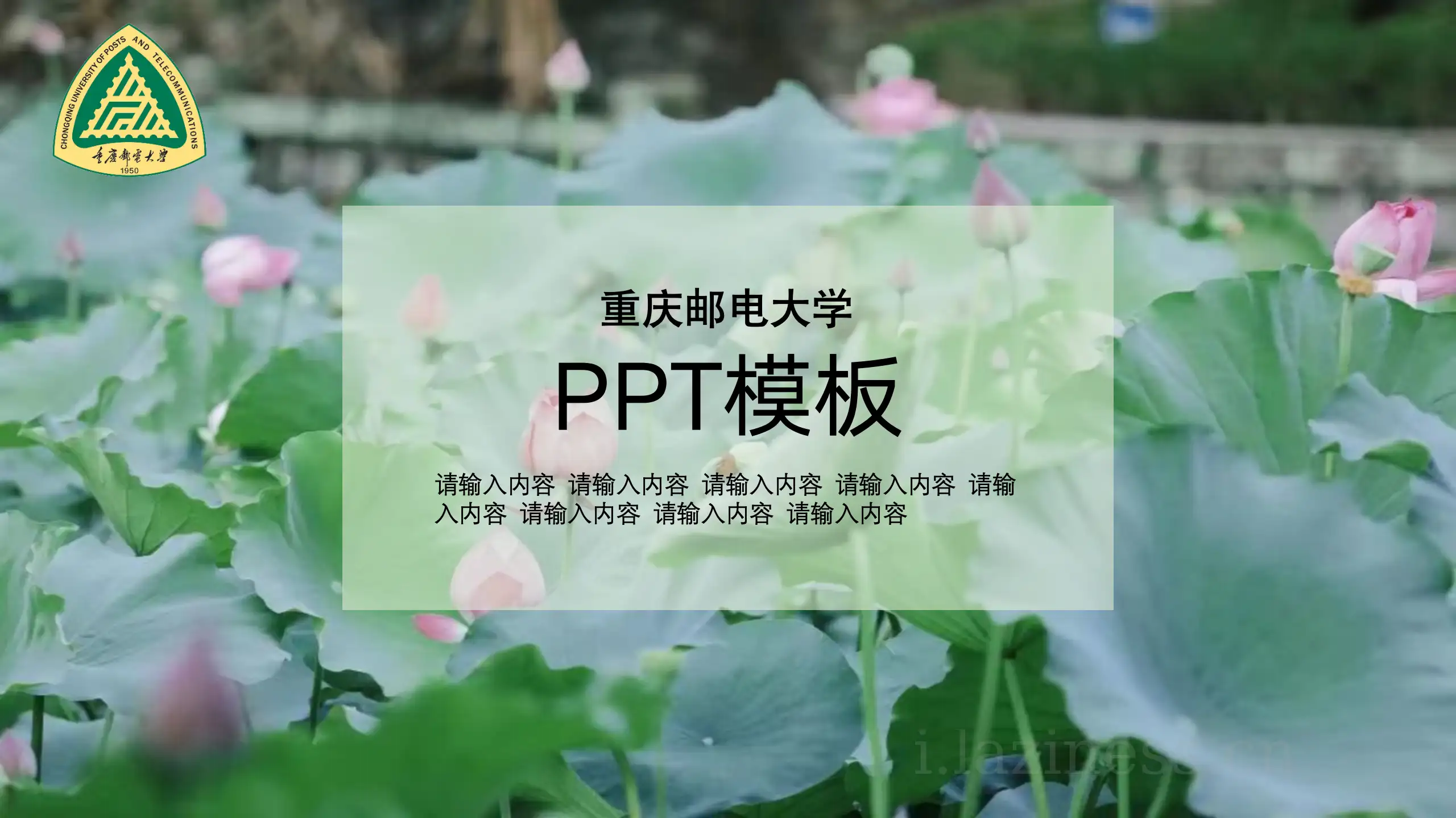 重庆邮电大学PPT模板-夏·绿荫